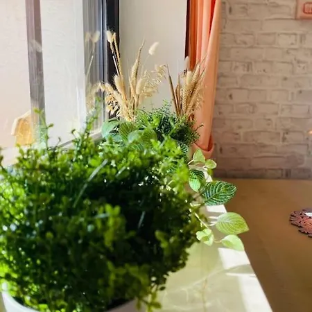 41 - Im Rottalblick - Suedlaendischen Flair Geniessen Mit Bademantelgang Zur Therme, Tv, Balkon Und Persoenlichem Gaesteempfang Von Astarte Estate Apartamento Bad Griesbach (Bavaria)